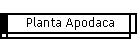 Planta Apodaca