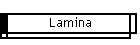 Lamina