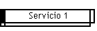 Servicio 1