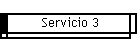 Servicio 3