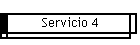 Servicio 4