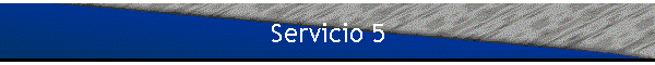 Servicio 5